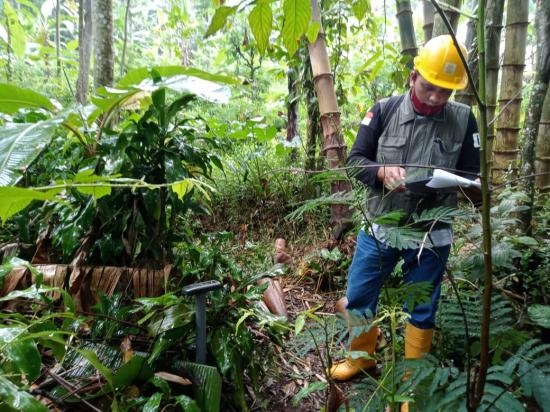 86WhatsApp Image 2021-05-28 at 16.44.13.jpeg